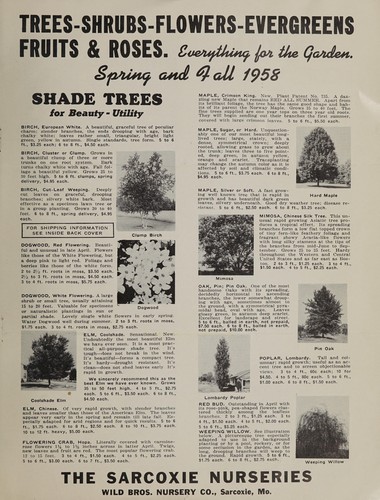 New roses for 1958