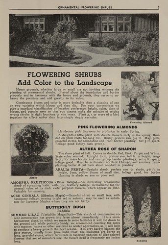 Fruit, shade and ornamental trees, shrubs, and roses