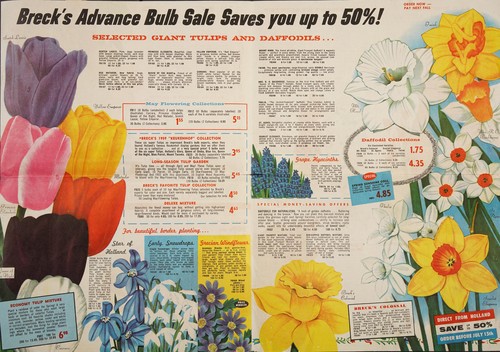 Breck's advance bulbs sale saves you up to 50%!