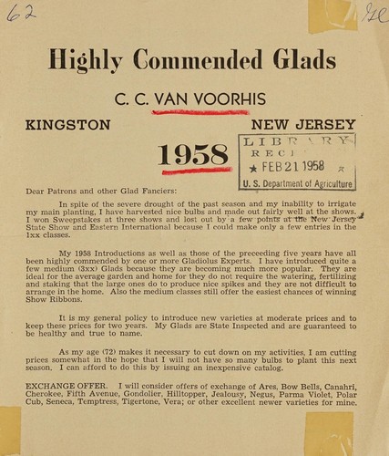 Highly commended glads