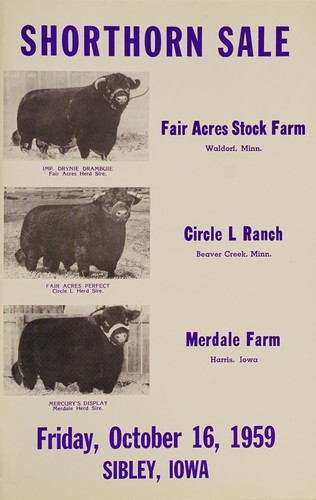 Quality joint shorthorn production sale