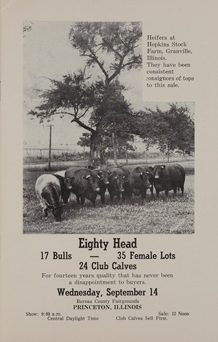 Eighty head, 17 bulls - 35 female lots, 24 club calves
