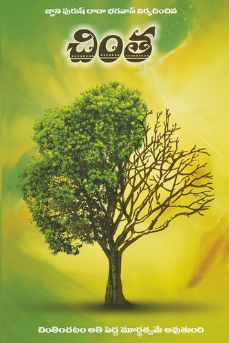 Worries (In Telugu)