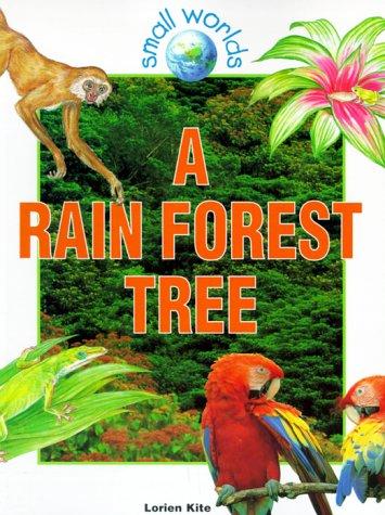 A rain forest tree
