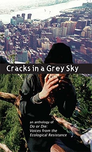 Cracks in a Grey Sky