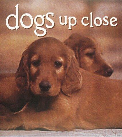 Dogs up close