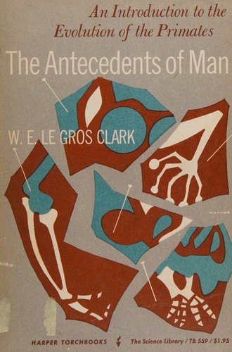 The Antecedents of Man