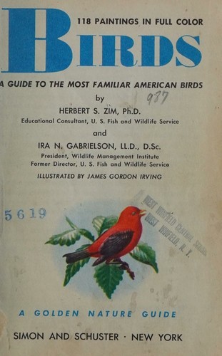 Birds
