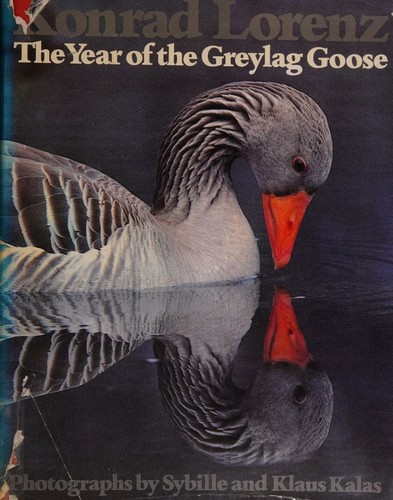 The Year Of The Greylag Goose, Photographs By Sybi