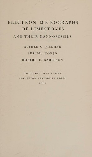 Electron micrographs of limestones and their nannofossils