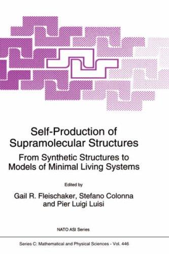 Self-production of supramolecular structures