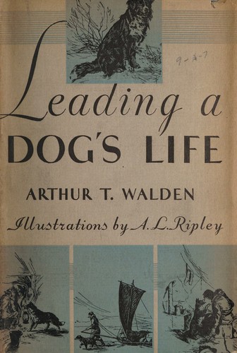 Leading a dog's life