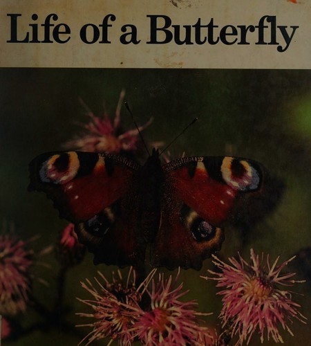 Life of a butterfly