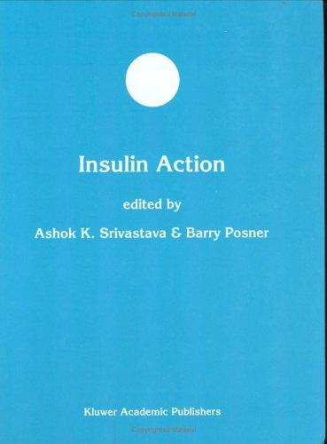 Insulin action
