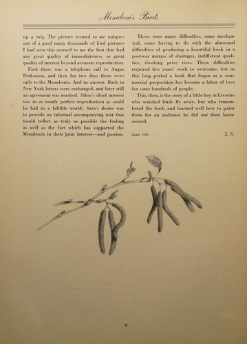 MENABONI'S BIRDS.