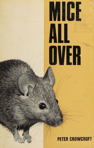 Mice all over