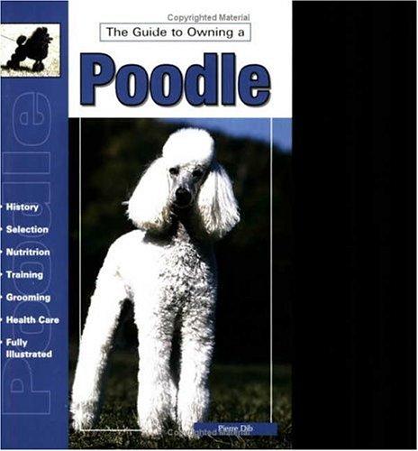 Guide to owning a poodle