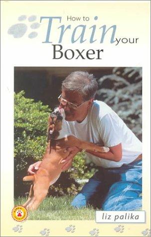 How to train your boxer