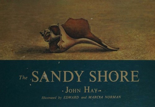 The sandy shore