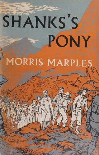 Shank's Pony a Study of Walking