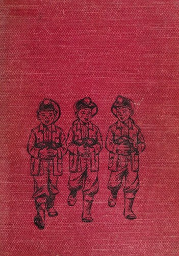 Three Boys and a Mine