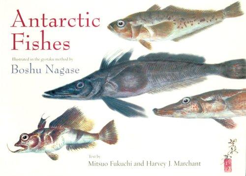 Antarctic fishes