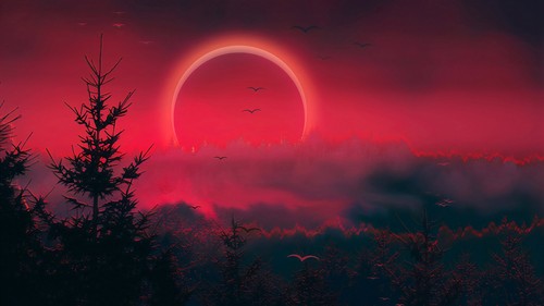 Noches Blancas