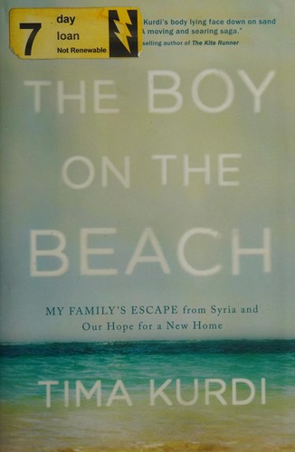 The boy on the beach