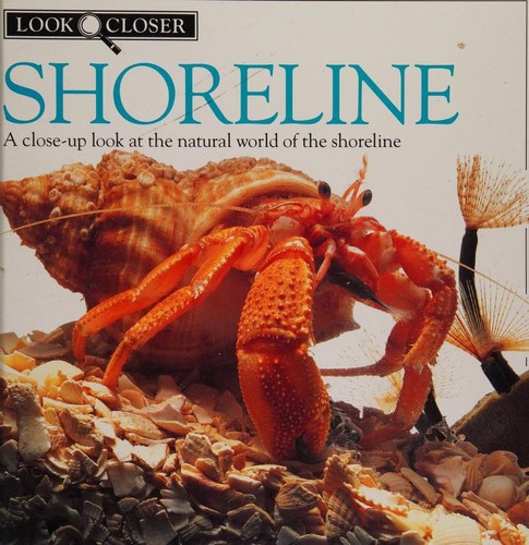 Shoreline