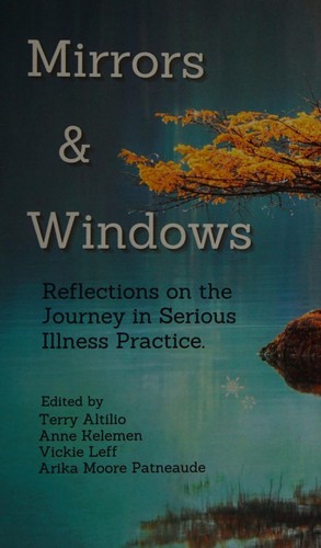 Mirrors & Windows