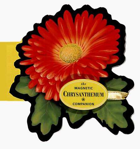 The magnetic chrysanthemum companion