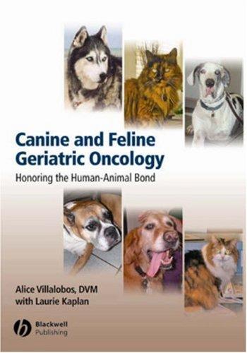 Canine and Feline Geriatric Oncology