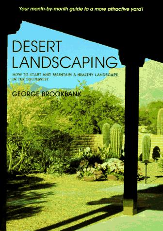 Desert landscaping