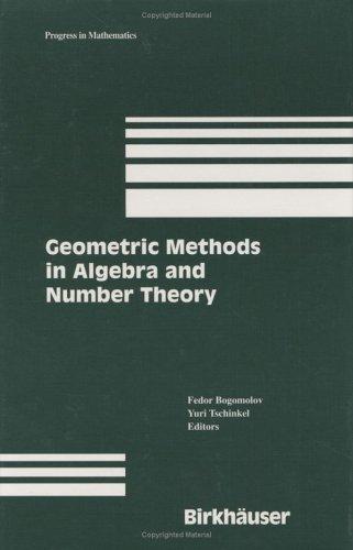 Geometric methods in algebra and number theory