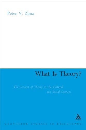 What Is Theory?