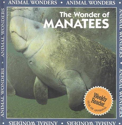 The wonder of manatees