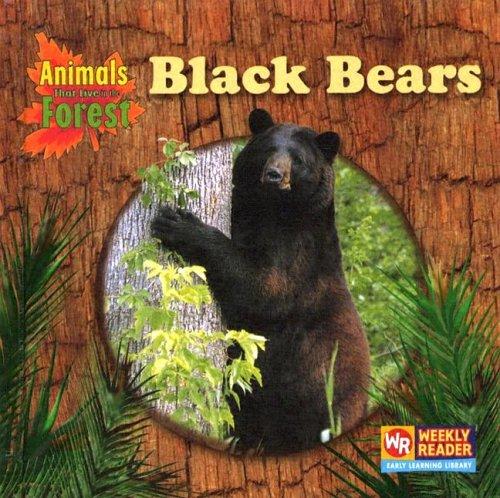 Black Bears (Animals That Live in the Forest)