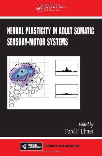 Neural Plasticity in Adult Somatic Sensory-Motor Systems (Frontiers in Neuroscience)