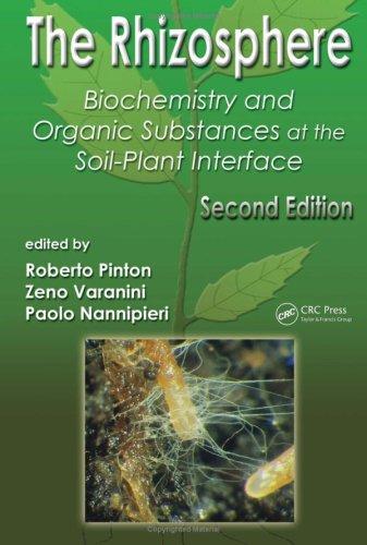 The rhizosphere
