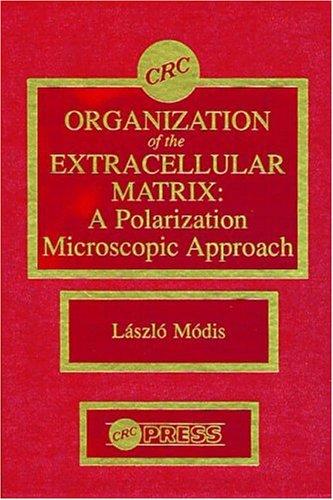 Organization of the Extracellular Matrix