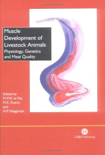 Muscle development of livestock animals