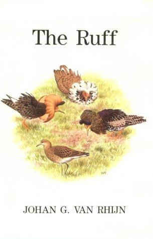 The ruff