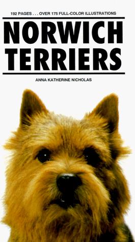 Norwich Terrier