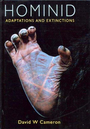 Hominid Adaptations And Extinctions