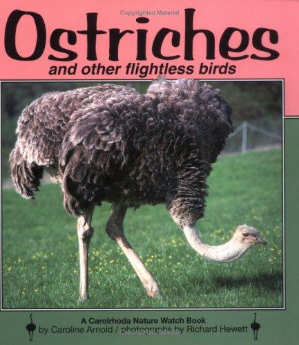 Ostriches and other flightless birds