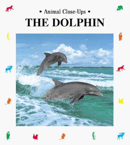 The dolphin, prince of the waves