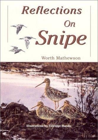 Reflections on Snipe