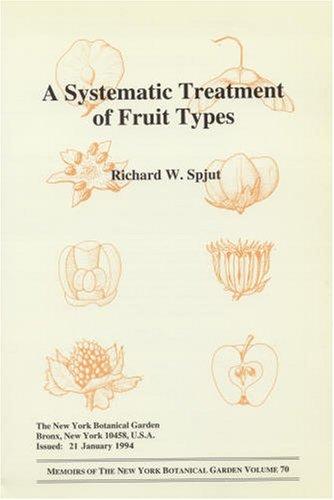 A systematic treatment of fruit types
