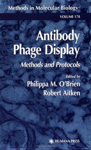 Antibody Phage Display
