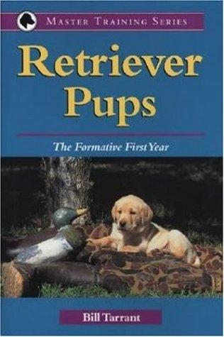 Retriever Pups
